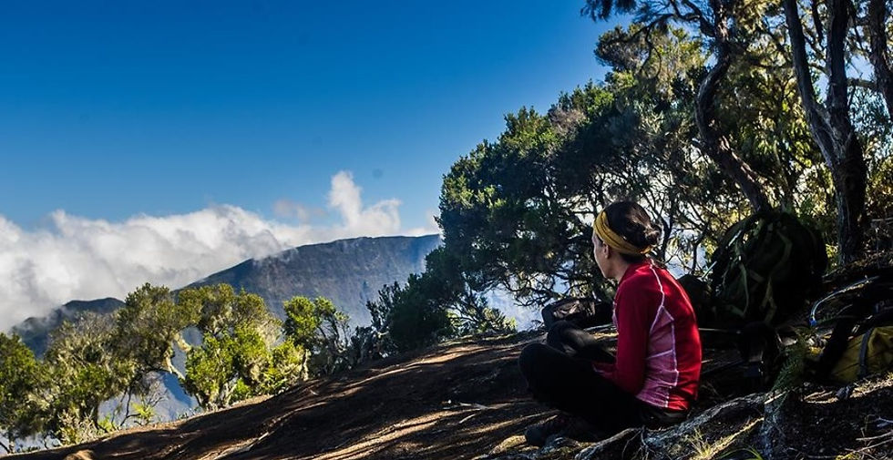 Cover GayaR_edited.jpg