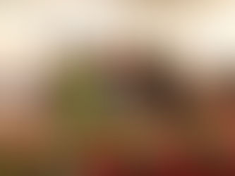 Hindi Topper – Niranjan Kumar