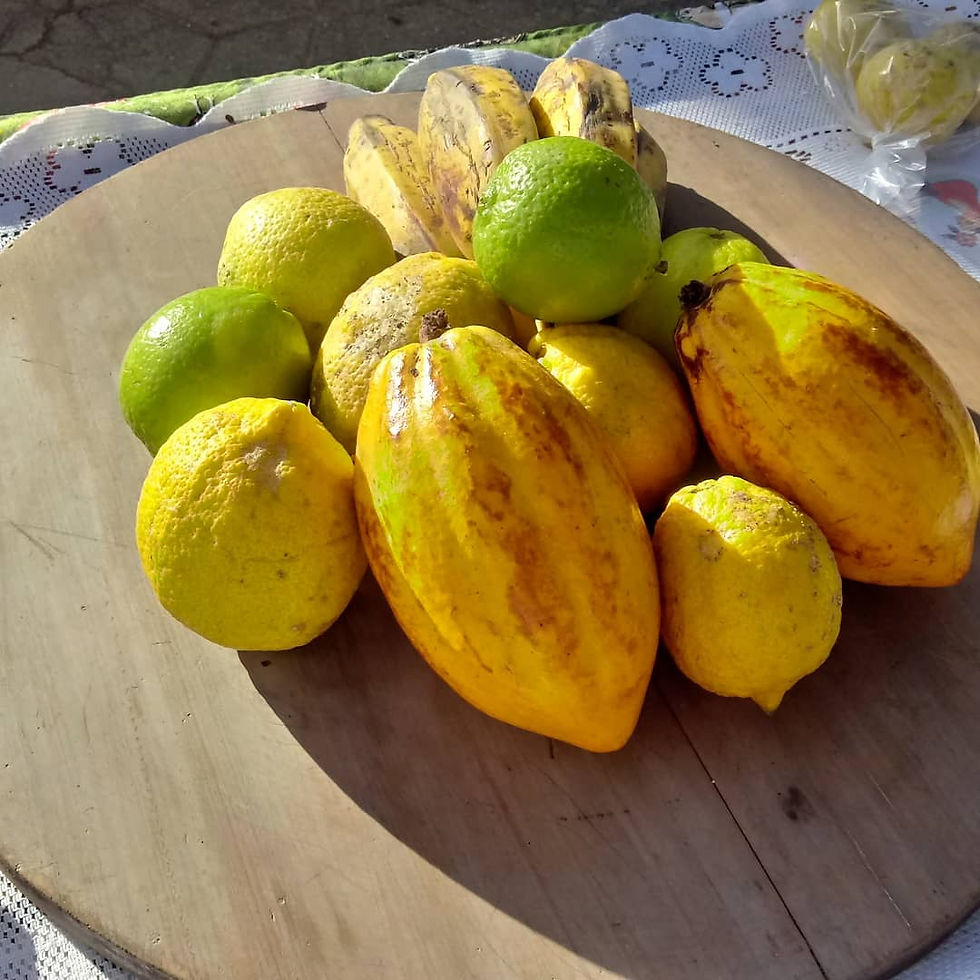 Alimentos Agroecológicos
