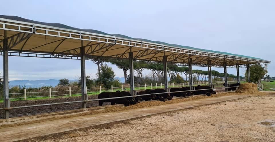 Struttura su mangiatoia esistente 4.jpeg