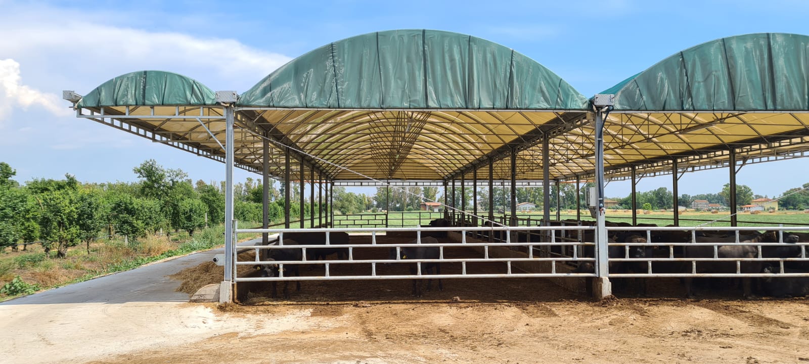 WhatsApp Image 2022-11-29 at 16.11.01.jpeg