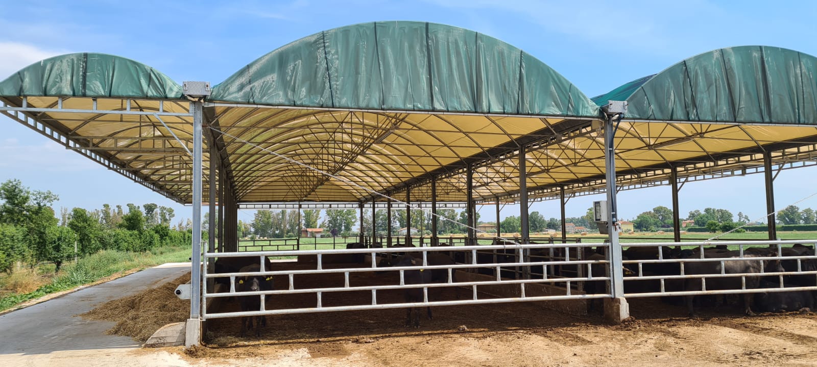 WhatsApp Image 2022-11-29 at 16.11.03.jpeg