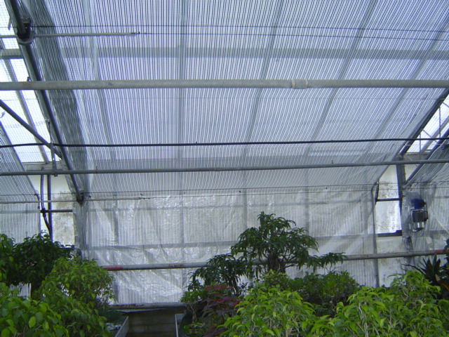 3- telo termoriflettente.jpg