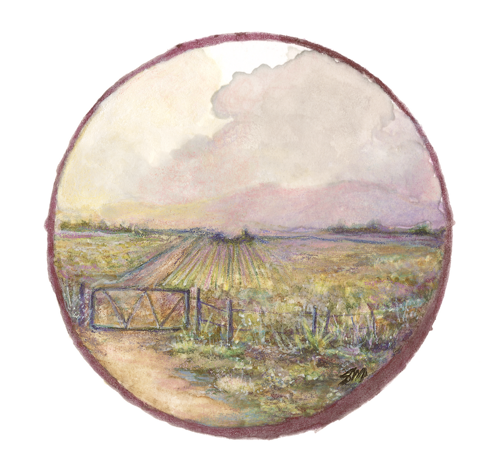 Crushed Clay, Poured Light