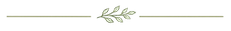 decorative line.png