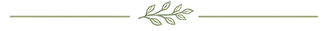 decorative line.png