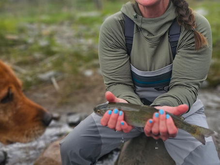 Truckee Tahoe Late Spring Fly Fishing Report May 29th, 2026