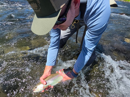Truckee Tahoe Summer Fly Fishing Report July 20th, 2026