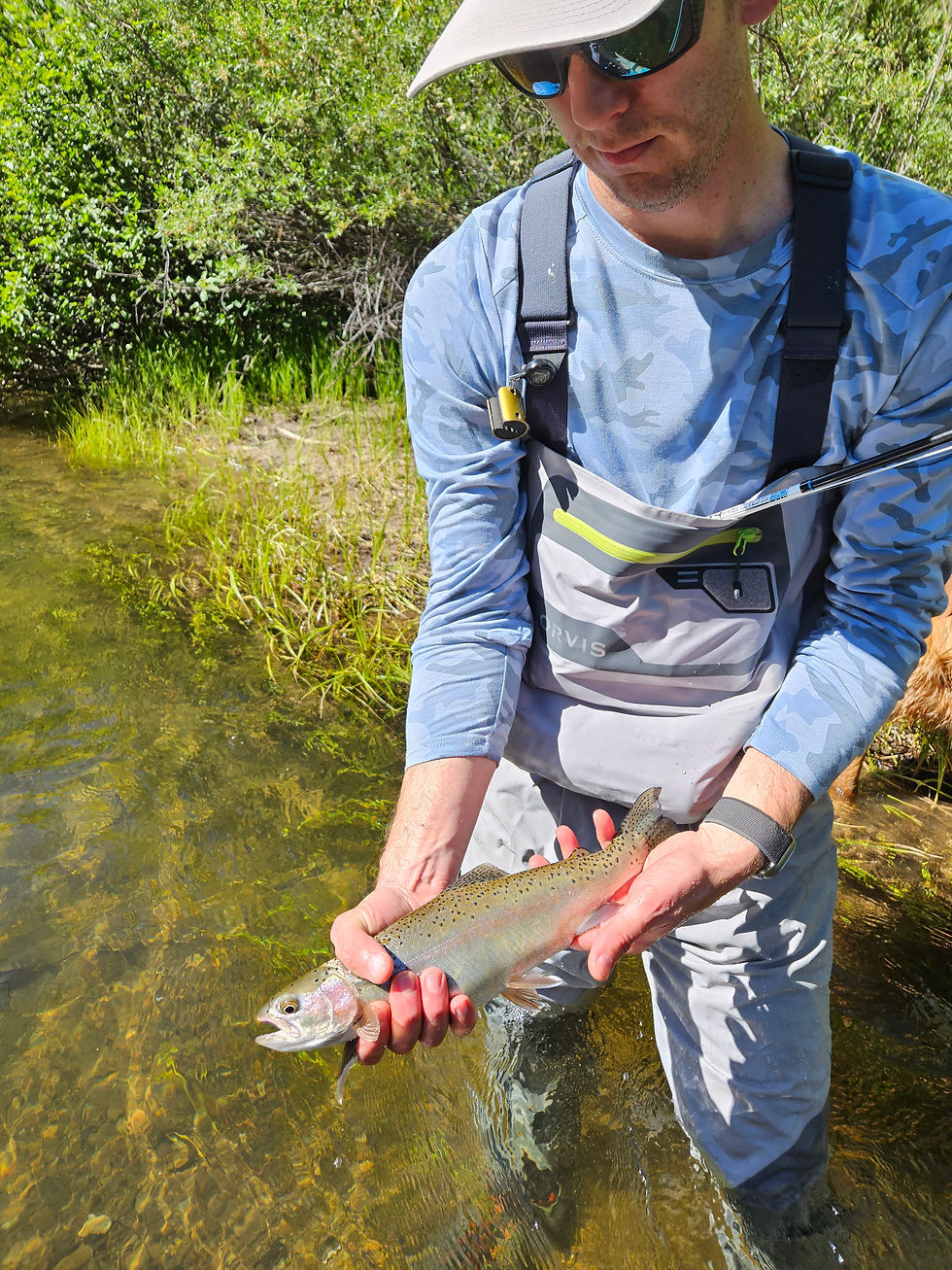 Angler holding a fish
