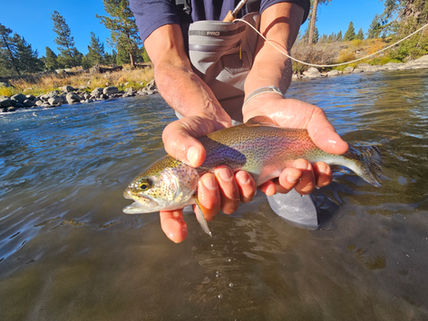 Truckee Tahoe Fly Fishing Report October 25th, 2023