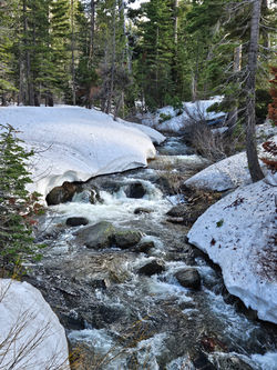 Creek at high water