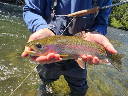 Truckee-Tahoe Fly Fishing Report August 19,  2024