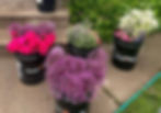 Thumbnail: Traveling Bouquet Bar