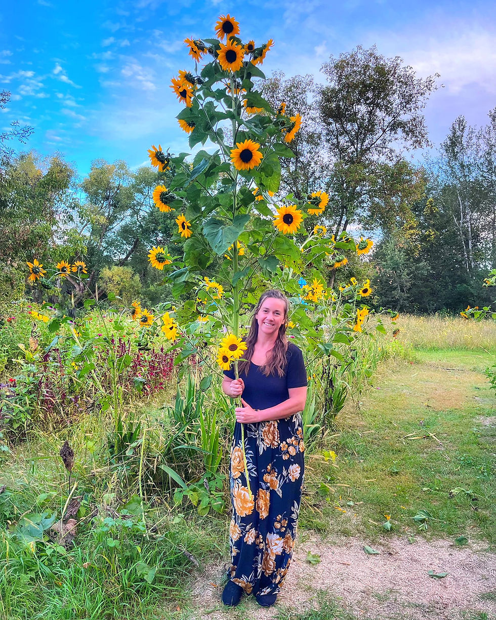 Thumbnail: Pick Your Own Flowers