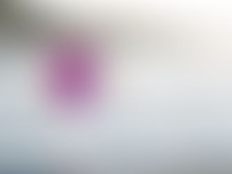 Building A Million Dollar Brand: Lessons from Successful Female Founders