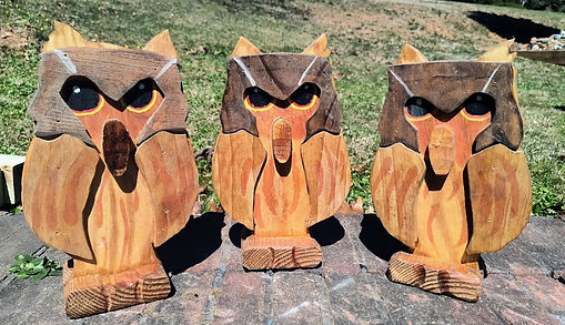 Owls for the Home
