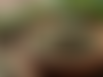 Herbal Healing Products: Benefits & Uses