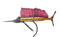 Peix Vela