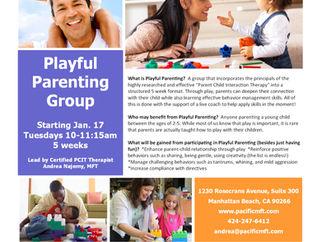 Playful Parenting Group Starting in January!