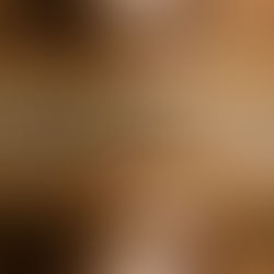 El zodiaco de Dendera: Un enigma celestial desde el Corazón de Egipto