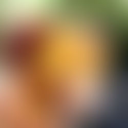 Amores clandestinos: cuando el deseo rompe las reglas