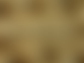 La dignidad en tiempos de regalos