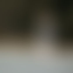 Huimos de donde nos eligen