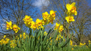 February/March 2026 Roundup