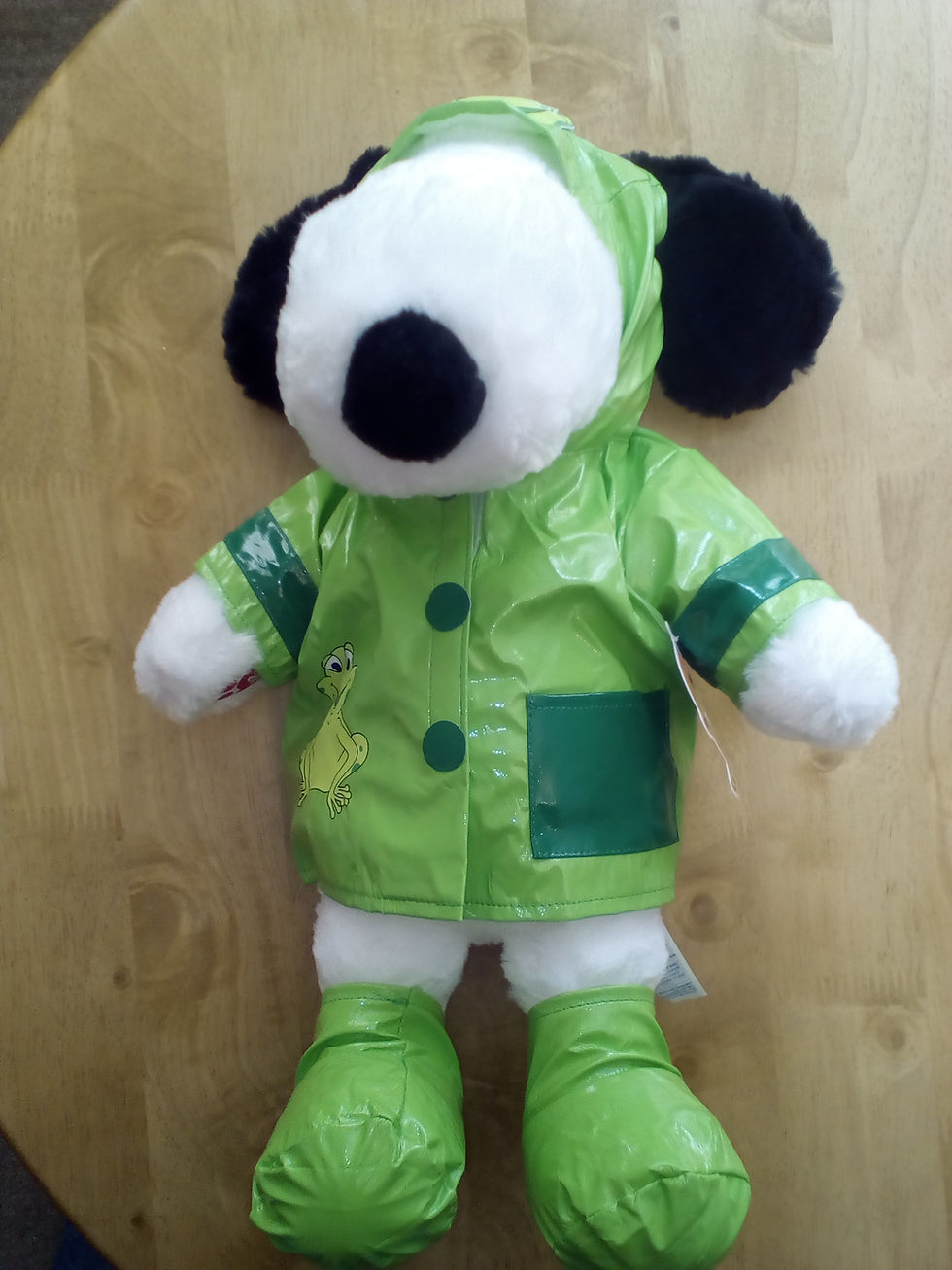 Thumbnail: Green Frog Raincoat and Boots (3pc)