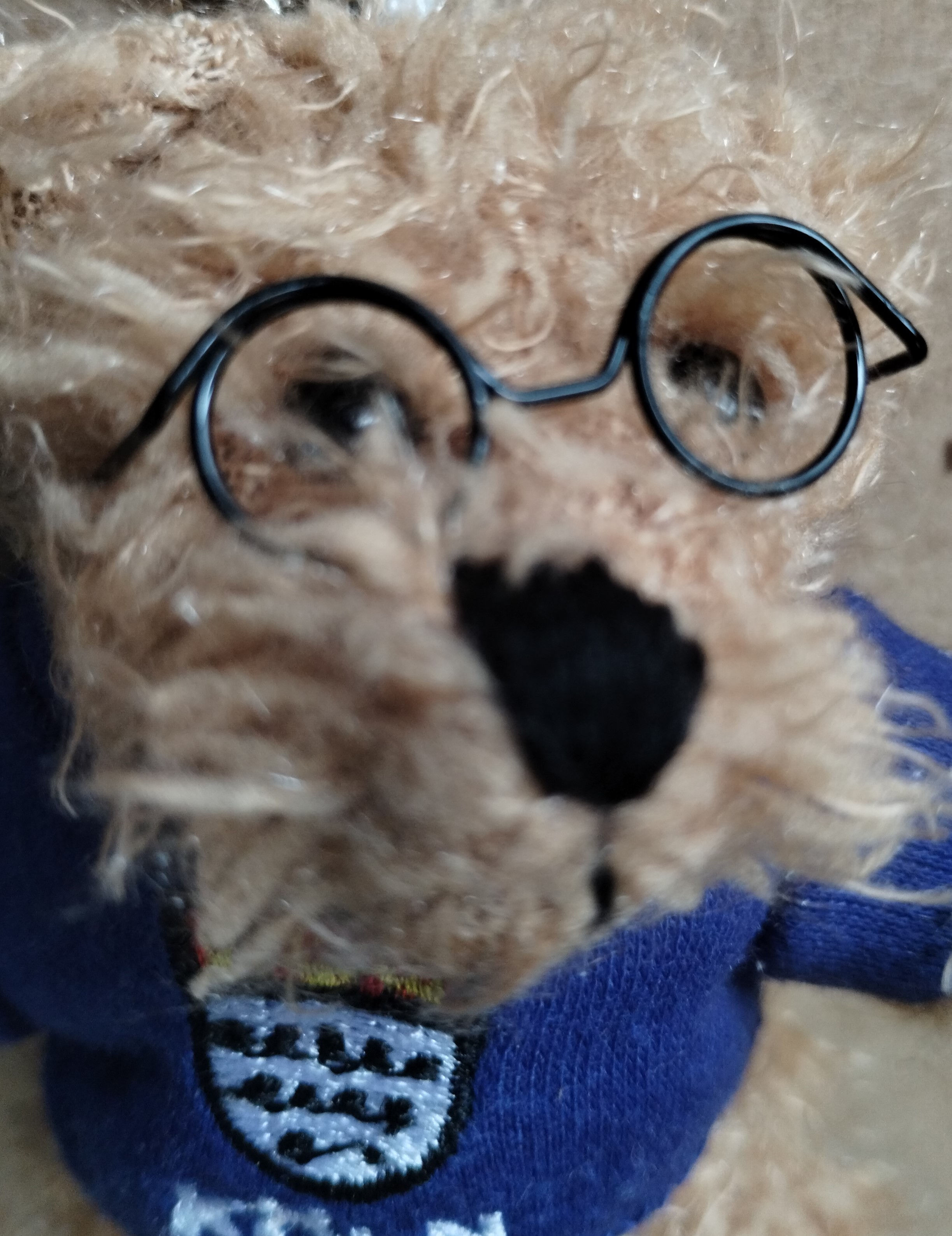 Teddy in tiny glasses, no lenses