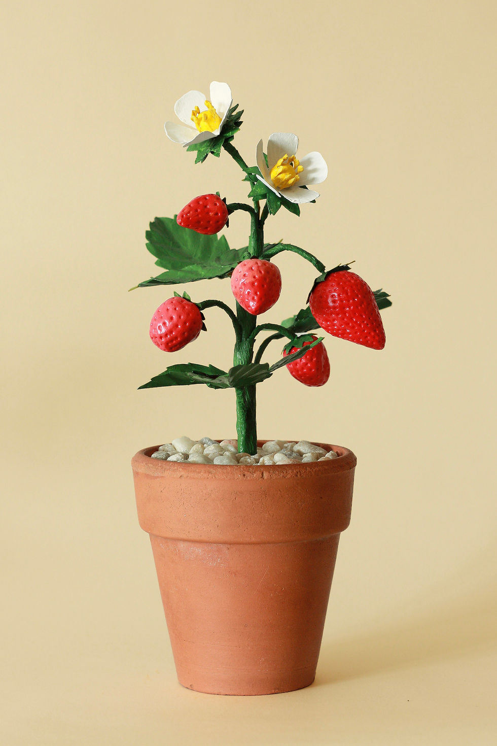 Strawberry Plant (B)