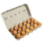 Free Range Eggs Tray 18s