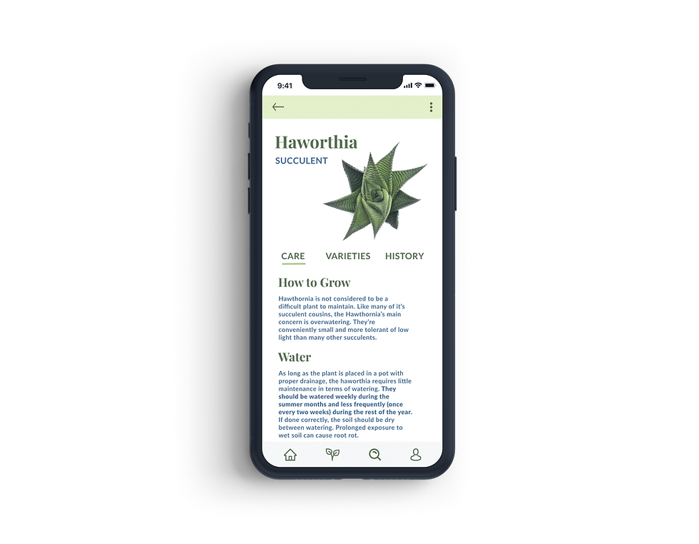 Haworthia Mockup _edited.png