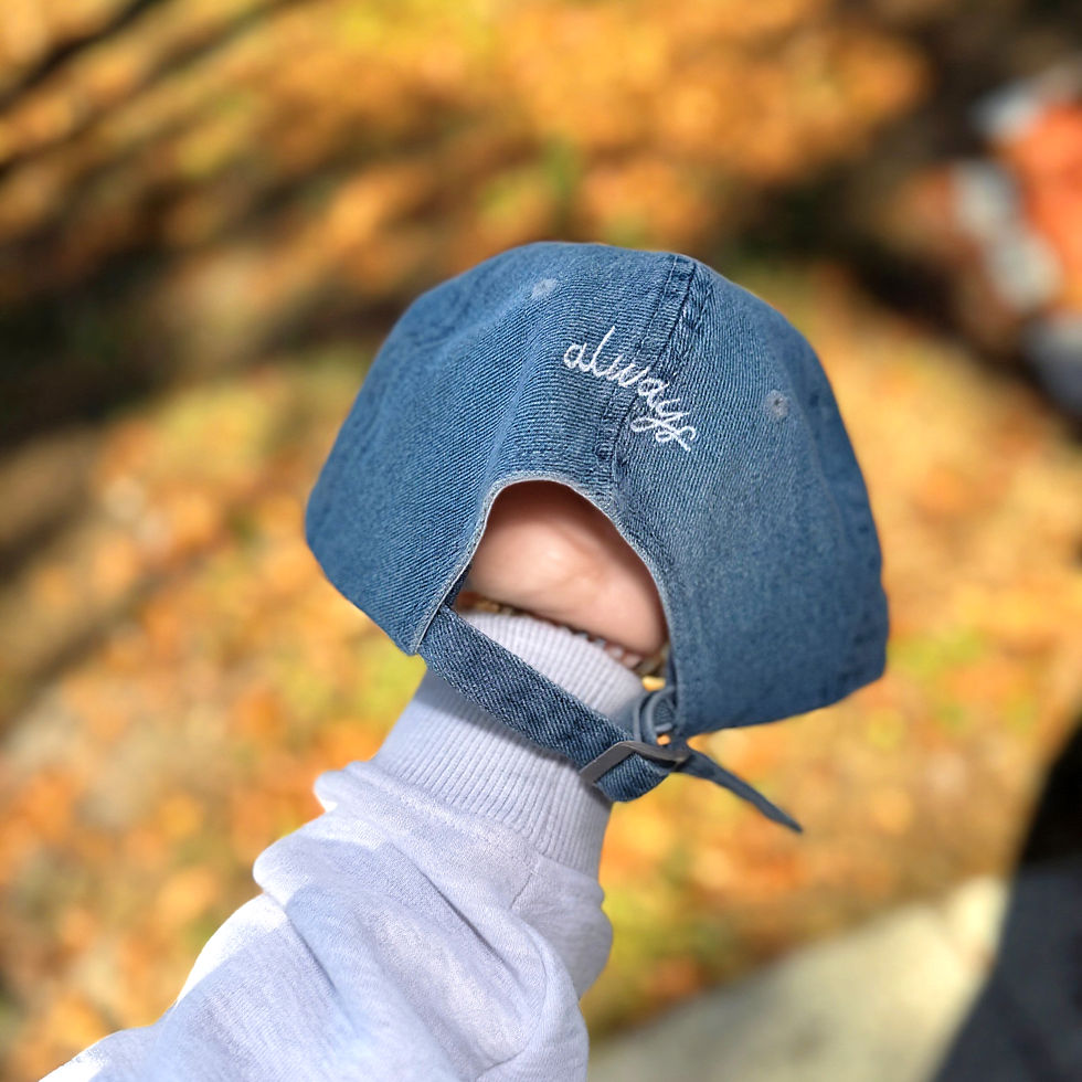 Thumbnail: Embroidered 'Signs & Symbols' Denim Hat (Cardinal, Butterfly, Dragonfly, etc)