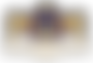 Secure Your Family’s Future with Stephan Schurmann’s Revolutionary Blockchain Family Trust