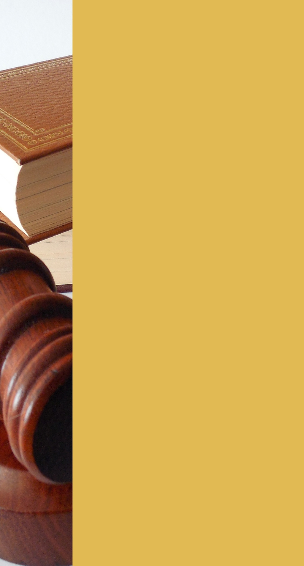 Conflicts of parents and children: a blow to the child' Conflicts of parents and children: a blow to the child'