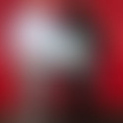 Celebrating Team Member of the Month: October