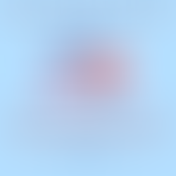 President's Day! - Free Combo Meal Day