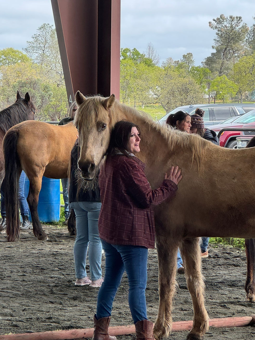 Breathe. Brush. Belong.
