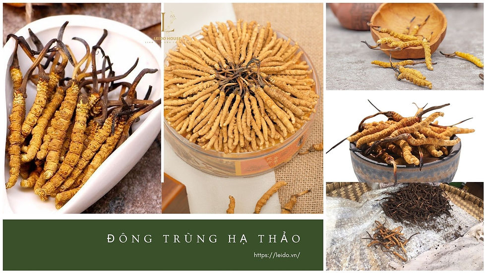 Dong-Trung-Ha-thao-Tay-tang-mau-dep1.jpg