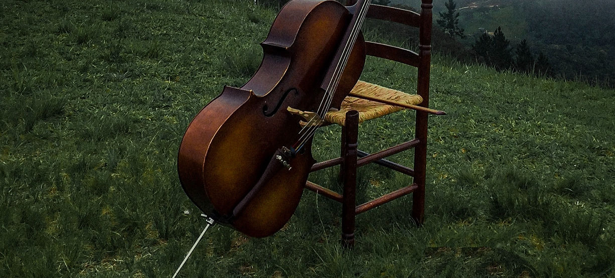brown and black string instrument_edited.jpg