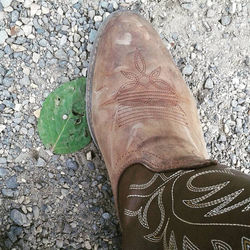 Boot and Leaf
