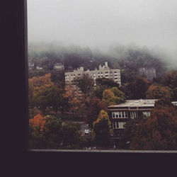 Foggy Window