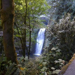 Latourell Falls