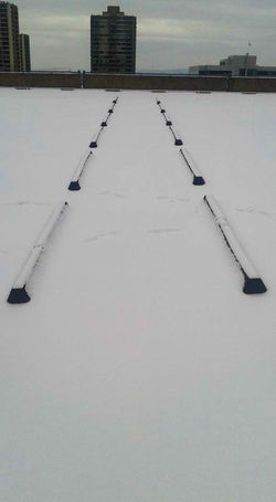 Nearly Untouched Snow