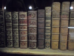 Tuileries Library.