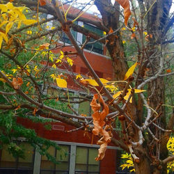 Portland State University
