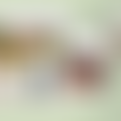 JOURNALISM and LITERATURE