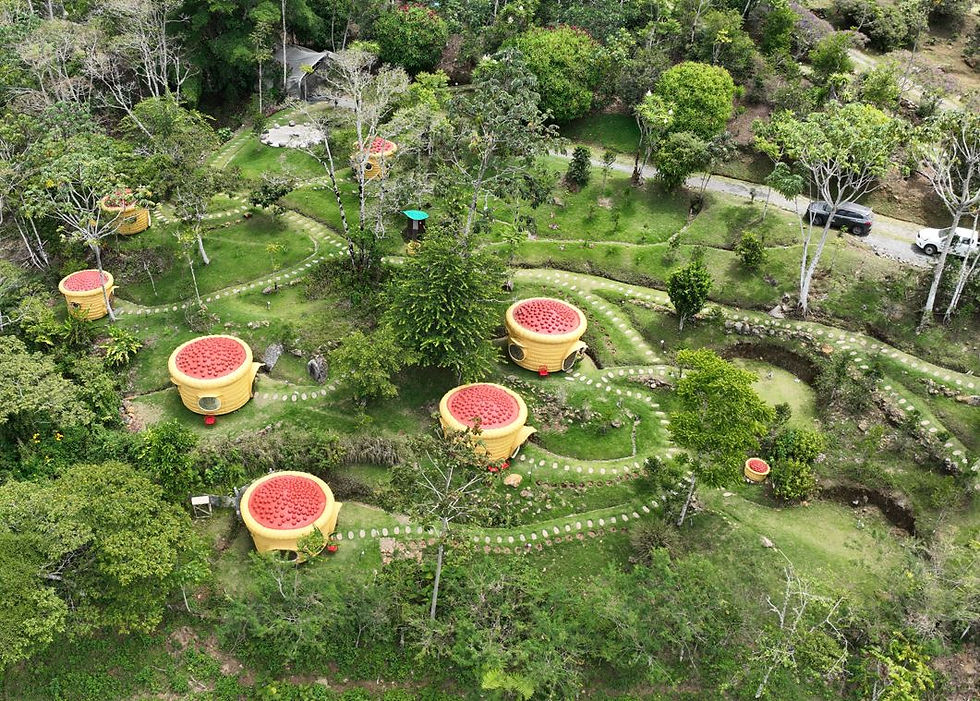 Encomiendas a Buenos Aires de Puntarenas con vista a cabañas circulares