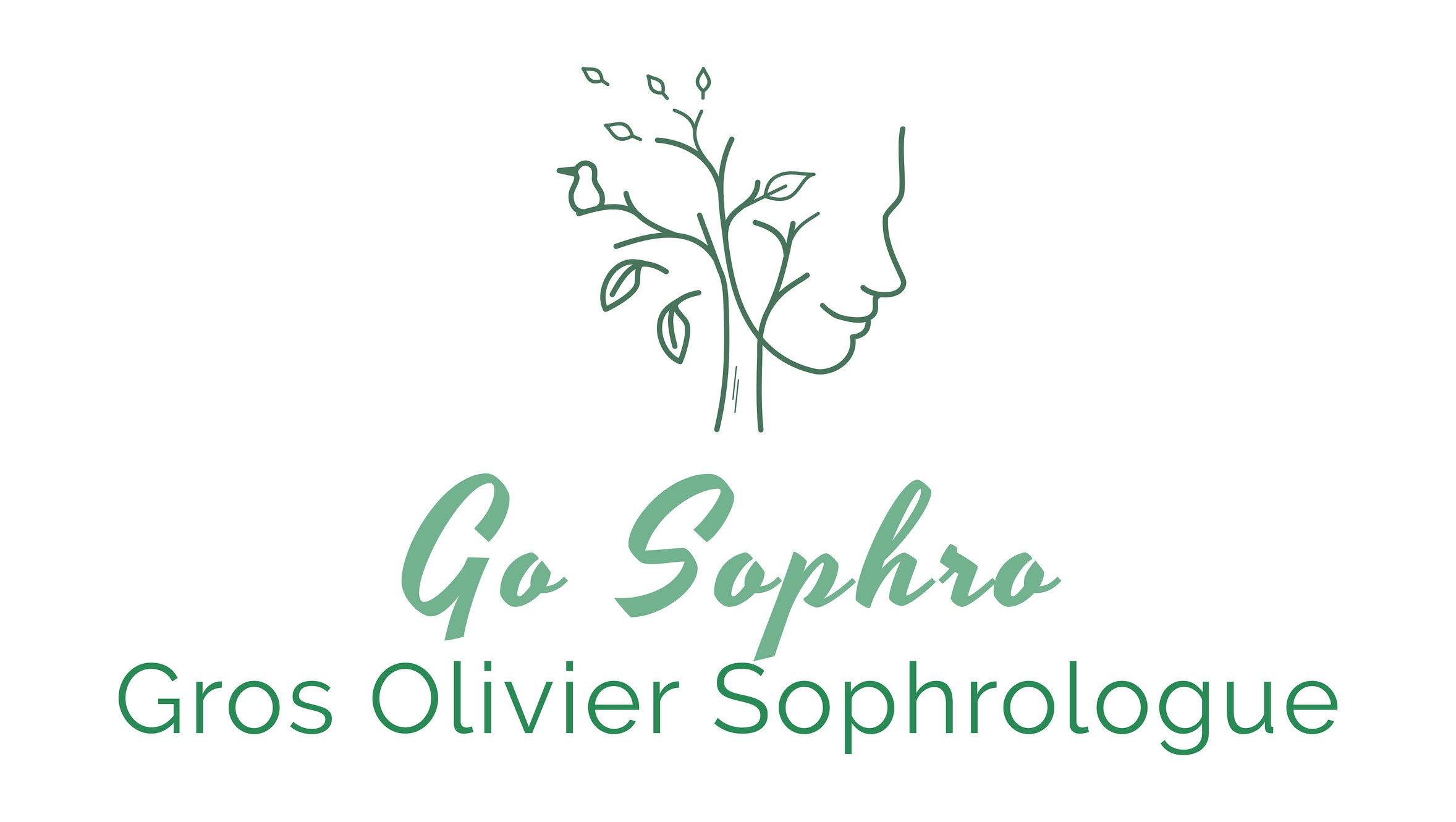 www.gosophro.org